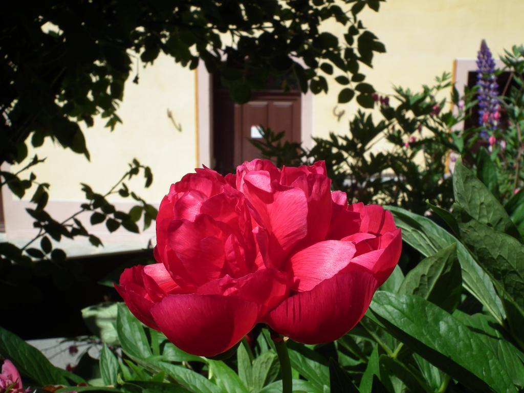 Chez Le Marquis Du Pontet *